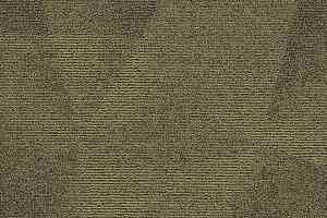 Ковровая плитка Tessera Diffusion 2008 Forest Trail фото  | FLOORDEALER